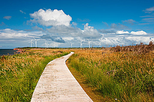 风轮机,北角,爱德华王子岛,加拿大