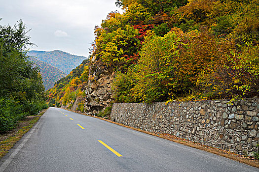 山区公路