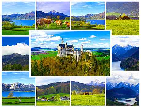 夏天,风景,著名,旅游胜地,巴伐利亚阿尔卑斯山,19世纪,新天鹅堡