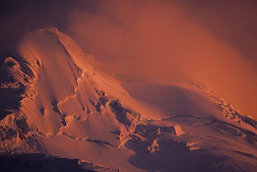 南极半岛,区域,冰河,午夜,阳光