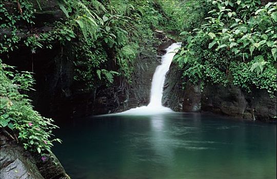 瀑布,山脉,哥斯达黎加