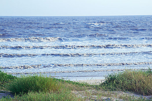 海浪海岸草地