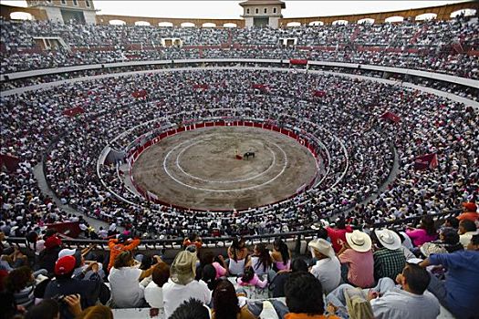 观众,看,斗牛,斗牛场,阿瓜斯卡连特斯,墨西哥