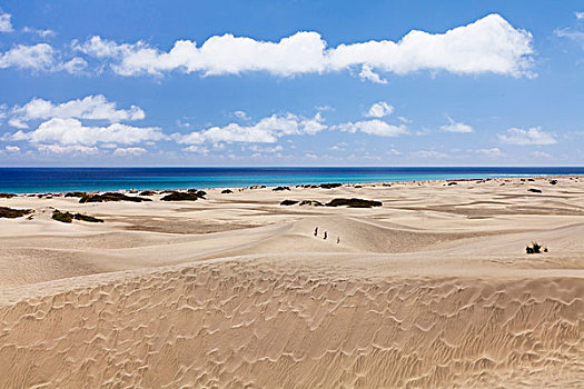 沙丘,海滩,大卡纳利岛,加纳利群岛,西班牙,欧洲