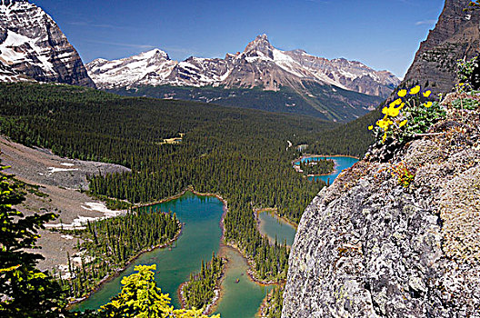 山峰,围绕,欧哈拉湖,区域,幽鹤国家公园,不列颠哥伦比亚省,加拿大