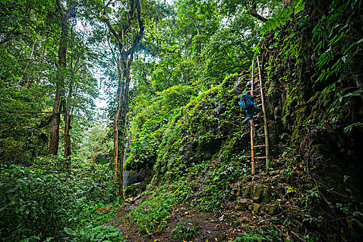年轻,远足,竹子,梯子,丛林,印度尼西亚,亚洲