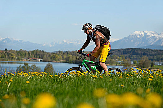 骑车,电,自行车,正面,看,湖,区域,上巴伐利亚,巴伐利亚,德国,欧洲