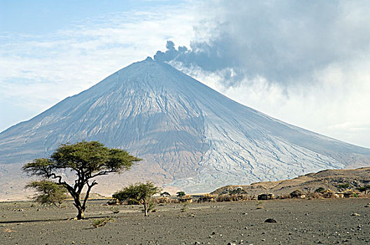 喷发,2007年,坦桑尼亚北部,非洲