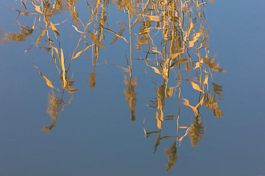 沙湖农场,沙湖景区