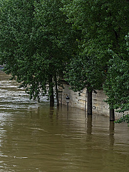 法国,巴黎,赛纳河,充斥,洪水,六月,圣路易斯