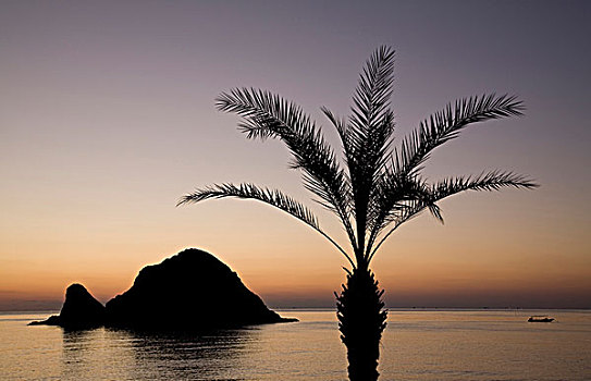 阿联酋,沙滩,胜地,岛屿,棕榈树,剪影,日出