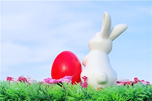 复活节兔子,花,草地