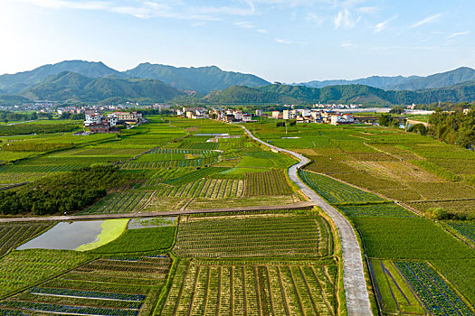 中国广西蒙山县乡村田园风光夏日景美如画