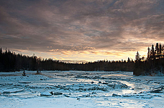冰盖,鱼,溪流,下午,天空,靠近,沿岸,小路,维切斯特,泻湖,阿拉斯加,冬天