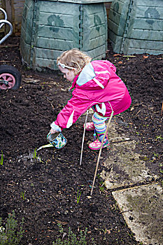 小女孩,浇水,洋葱,生长,小块菜地
