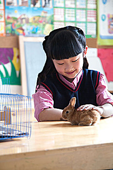 女生,爱抚,兔子,教室