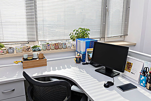 辦公室、辦公文化、觀賞花、茶具