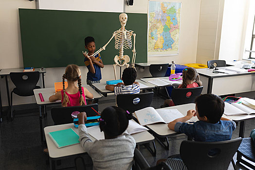 后视图,男生,解释,人体骨骼,模型,教室