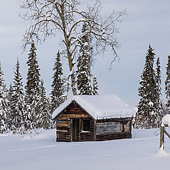 木屋,雪中,遮盖,树林,不列颠哥伦比亚省,公路,加拿大