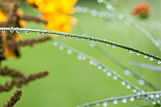 雨滴