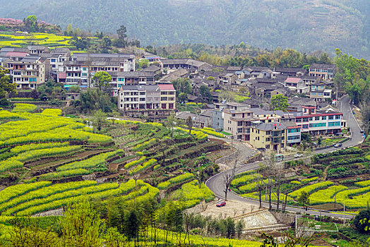 山村春色