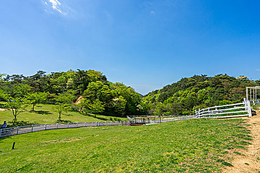神户六甲山牧场