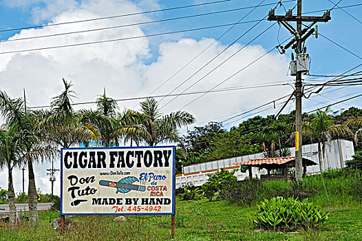 标识,雪茄工厂,靠近,哥斯达黎加,中美洲