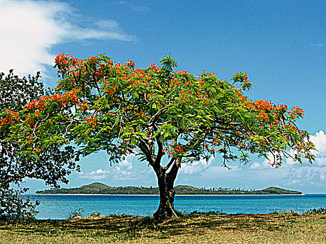 新加勒多尼亚,岛屿