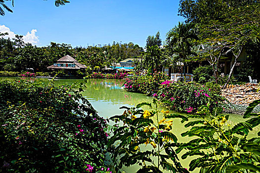 越南芽庄温泉中心优美景致和特色泥浆浴