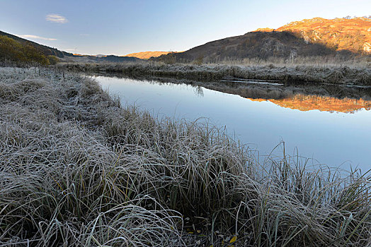 冰,早晨,霜,苏格兰高地,湖,苏格兰,英国,欧洲