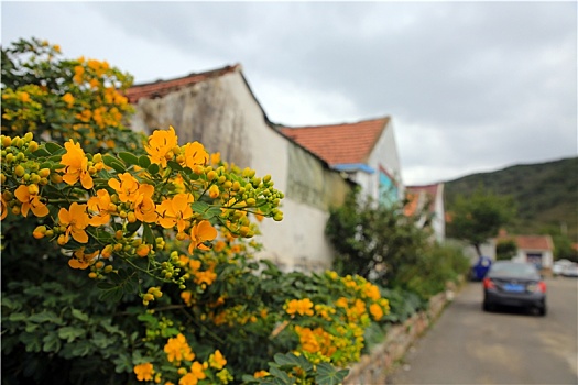 山东省日照市,昔日小山村蝶变美丽乡村打卡地