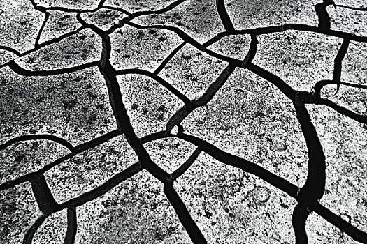 缝隙,泥,干旱,状况,奥卡万戈三角洲,博茨瓦纳