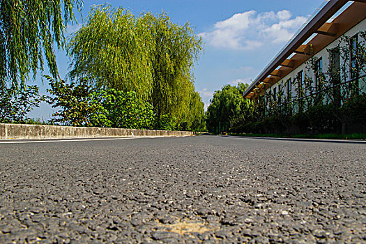 乡野道路