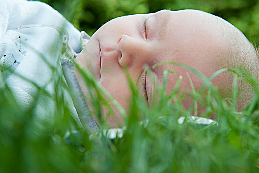 婴儿,睡觉,草