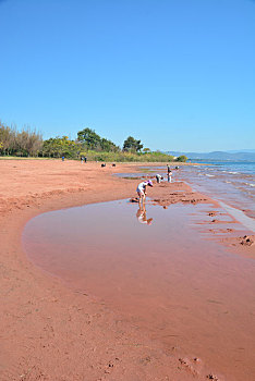 粉色沙滩