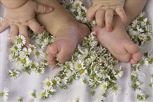 特写,脚,婴护,白色,绸缎,花