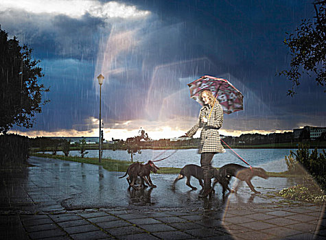 女人,伞,走,狗
