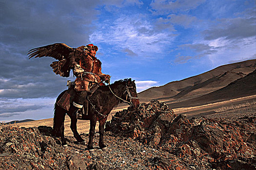金鹰,金雕,骑马,节日,蒙古