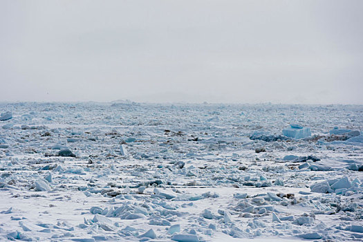 冰雪景观,模糊,地平线,峡湾,斯瓦尔巴特群岛,挪威