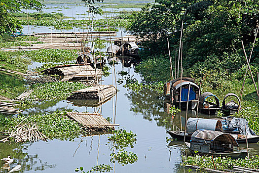 船,孟加拉,五月,2008年,种族,钳,国王