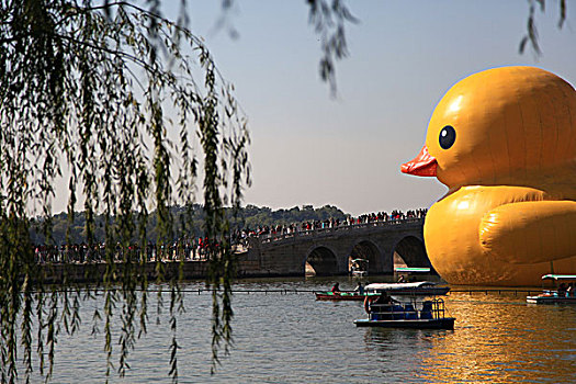 北京颐和园大黄鸭