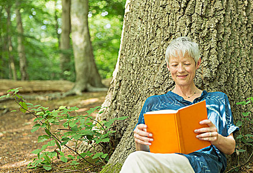 微笑,老年,女人,读,书本,树,木头