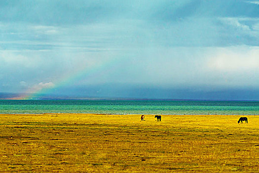 青海湖彩虹