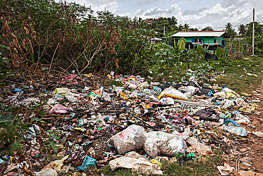 环境污染,垃圾,路边,布鲁维拉,西部,省,斯里兰卡,亚洲