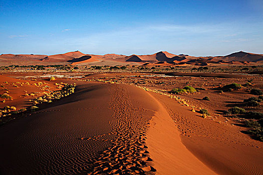 沙丘,旁侧,死亡谷,靠近,索苏维来地区,纳米比诺克陆夫国家公园,纳米比亚,非洲