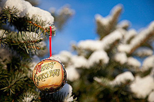 特写,圣诞饰品,积雪,树枝,泰恩-威尔,英格兰