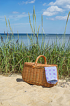 野餐篮,蓝色,白色,方格,餐巾,沙滩,模糊,海景,背景