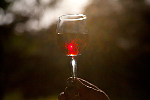一只手端着盛好红酒的透明玻璃高脚杯