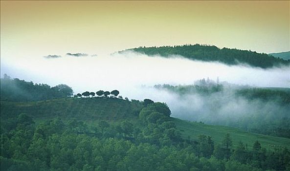 晨雾,俯视,风景,托斯卡纳,意大利