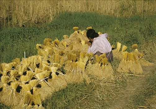 印度尼西亚,岛屿,女人,蹲,制作